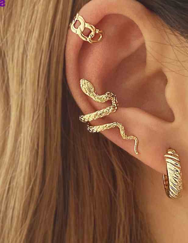 Fancy Snake Earrings Wrap Around Ear